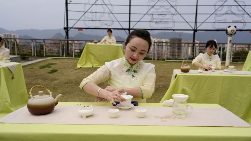 关于2024年遵义市“春赏花采茶”主题游启动仪式暨湄潭县春茶开采活动举行的消息(7)