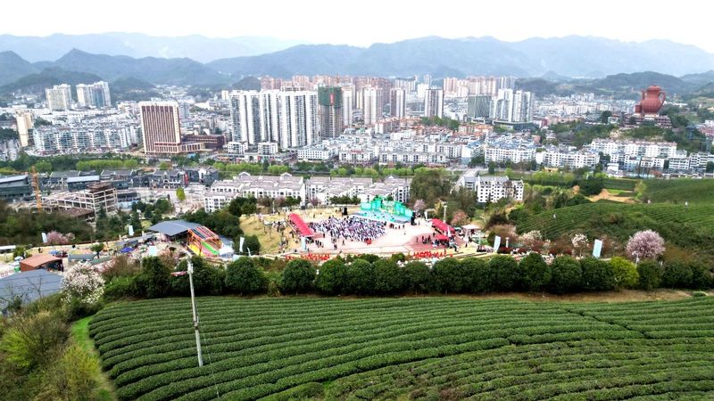 关于2024年遵义市“春赏花采茶”主题游启动仪式暨湄潭县春茶开采活动举行的消息(4)