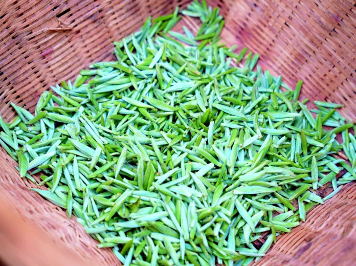 关于平坝:春茶吐翠采摘忙的相关信息(4)