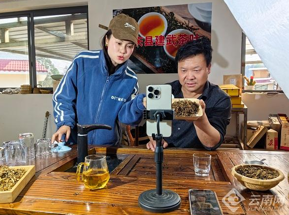 有关于凤庆县春茶“开鲜” 产销两旺的新闻(3)