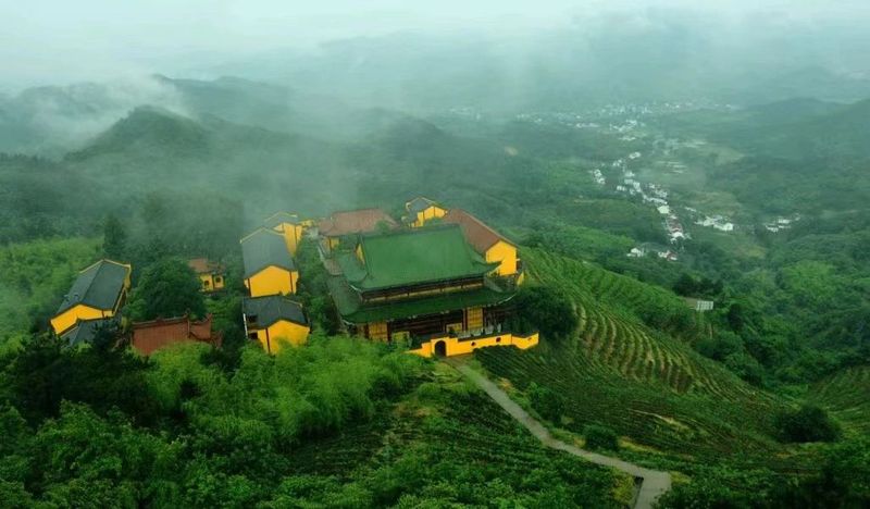 有关于庐江第十六届白云春毫茶文化旅游季新闻发布会在合肥举行的资讯(4)