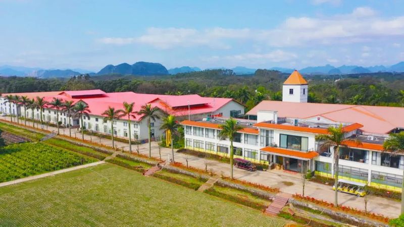 有关于春风和煦，绿意盎然！英德春茶抢鲜开采的新闻(3)