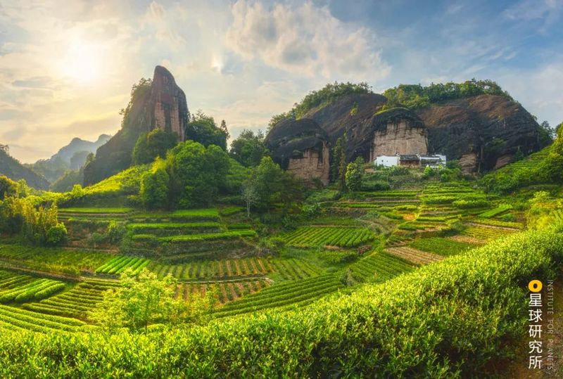 关于中国茶，如何征服世界？的相关信息(28)