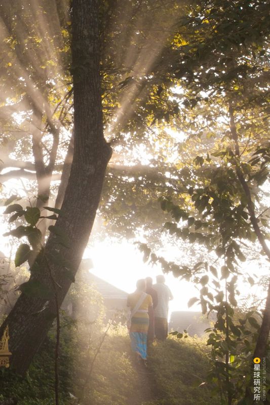 关于中国茶，如何征服世界？的相关信息(5)