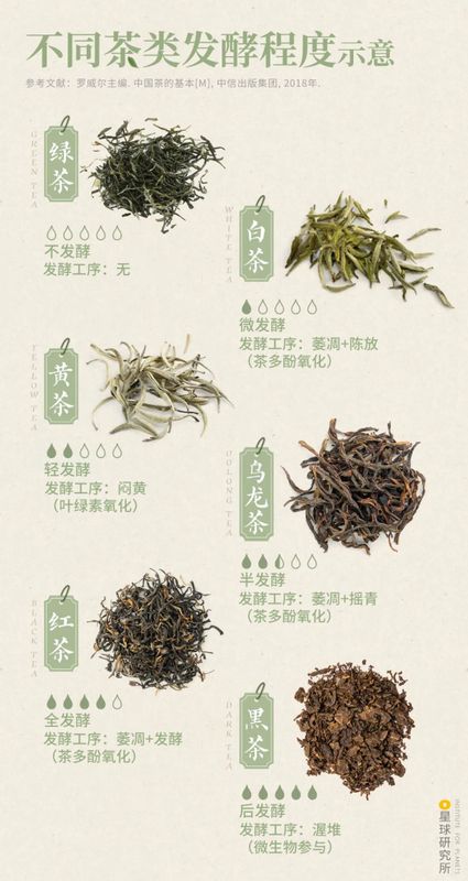 关于中国茶，如何征服世界？的相关信息(22)