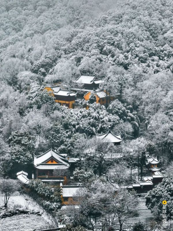 关于中国茶，如何征服世界？的相关信息(15)