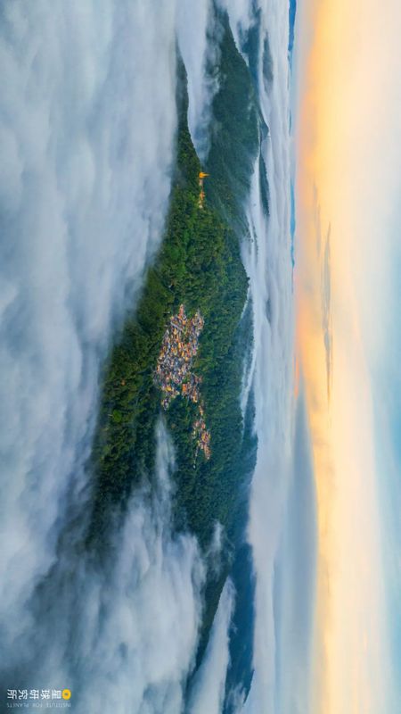 关于中国茶，如何征服世界？的相关信息(4)