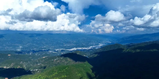 关于凤庆县：茶农抢“鲜”开采春茶的资讯