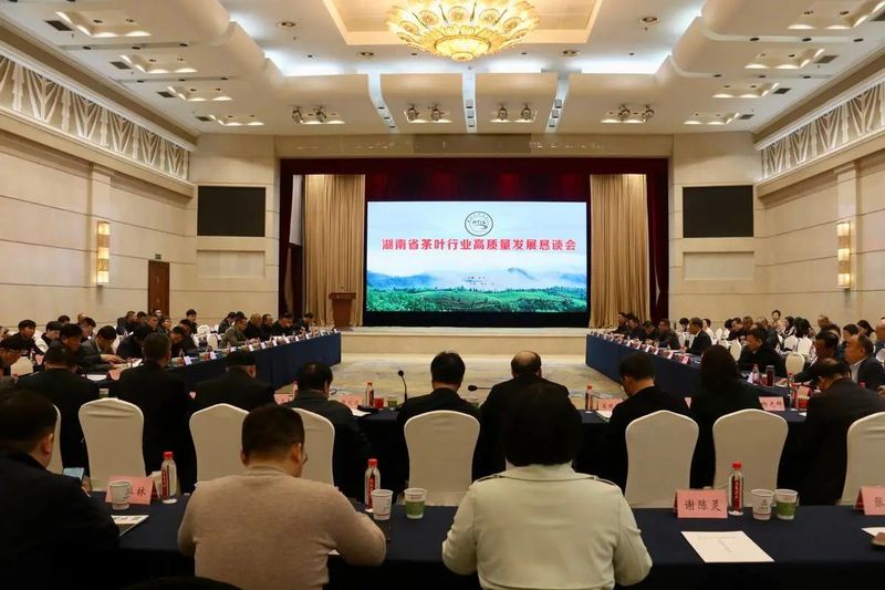 关于“霸得蛮”的茶业湘军今年有啥新动作？的资讯(5)