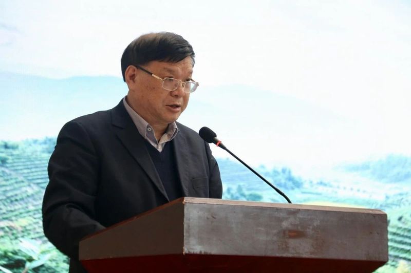 关于“霸得蛮”的茶业湘军今年有啥新动作？的资讯(1)