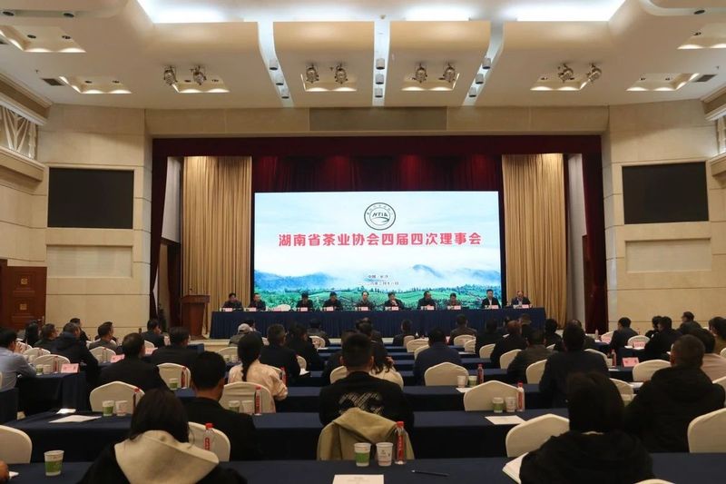 关于“霸得蛮”的茶业湘军今年有啥新动作？的资讯(6)