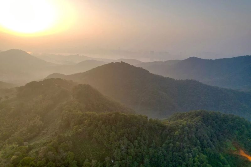 关于西湖龙井茶基地一级保护区今日开采了的相关信息(1)