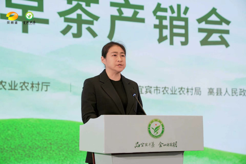 有关于南方有嘉木，早茶最宜宾——2024年宜宾早茶产销会成功举办的消息(2)