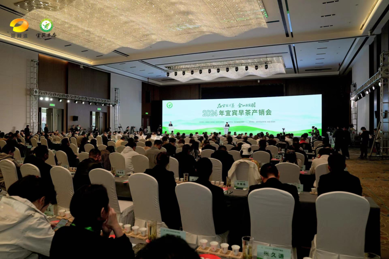 有关于南方有嘉木，早茶最宜宾——2024年宜宾早茶产销会成功举办的消息