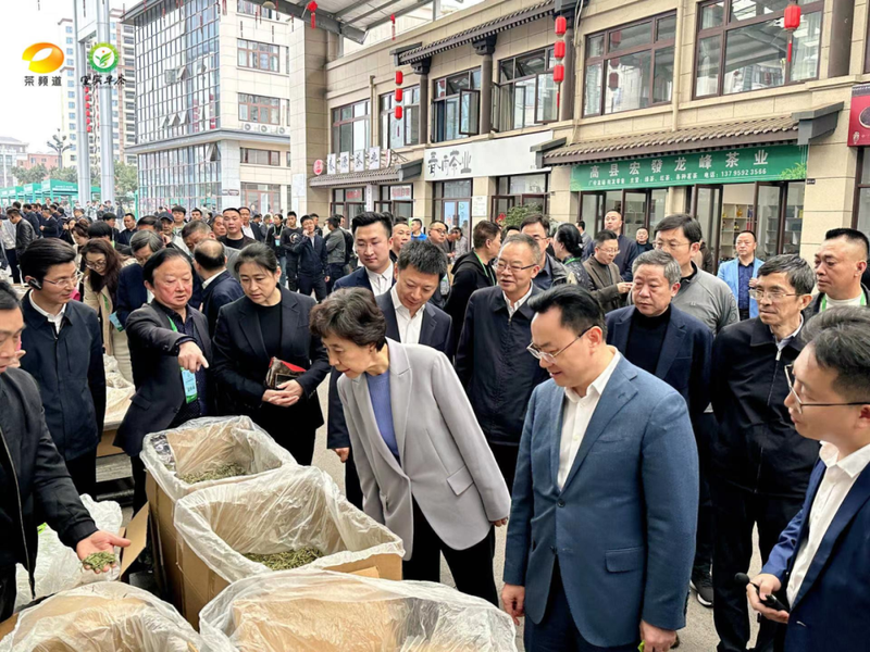 有关于南方有嘉木，早茶最宜宾——2024年宜宾早茶产销会成功举办的消息(7)