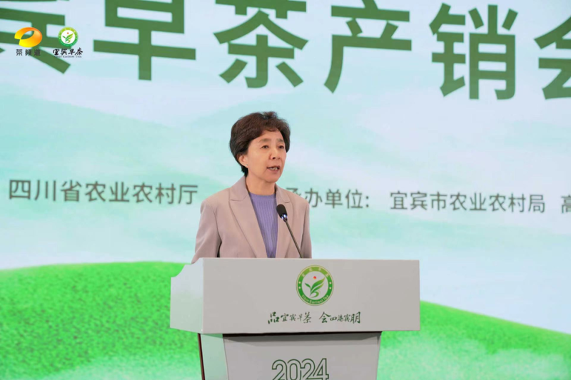有关于南方有嘉木，早茶最宜宾——2024年宜宾早茶产销会成功举办的消息(1)