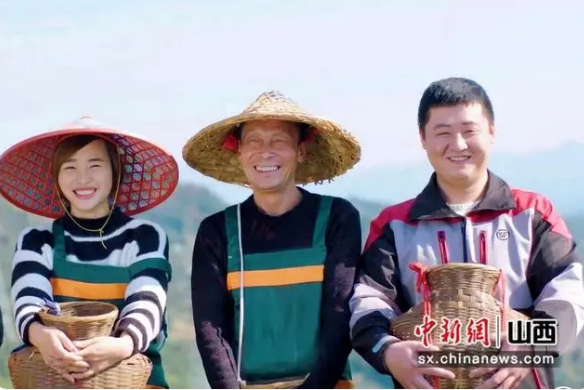 关于南方春茶坐“快递车”入晋的消息