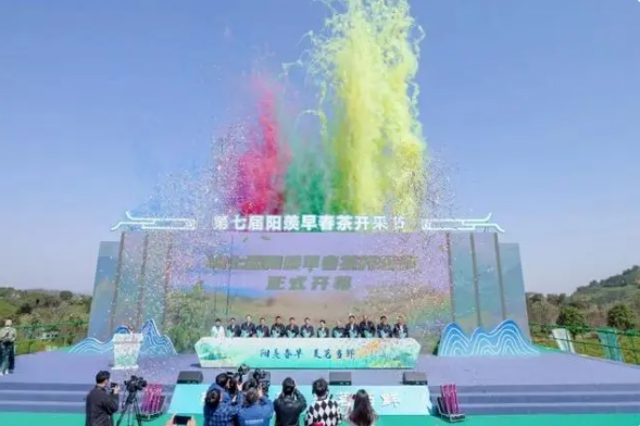 有关于又是一年春茶香 宜兴阳羡春茶“抢鲜”开采的信息