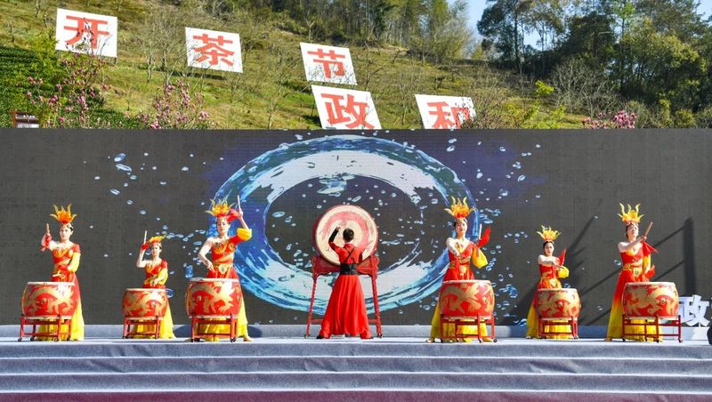 关于践行“三茶”理念 做强政和白茶  政和县举办第六届政和白茶开茶节的内容(1)