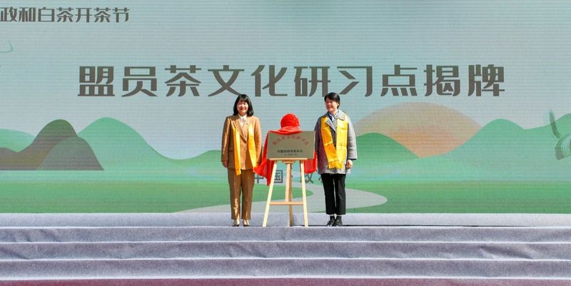 关于践行“三茶”理念 做强政和白茶  政和县举办第六届政和白茶开茶节的内容(6)