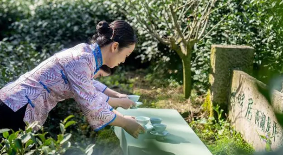 有关于品味独特茶文化 西湖龙井开茶节在杭州举办的内容(4)