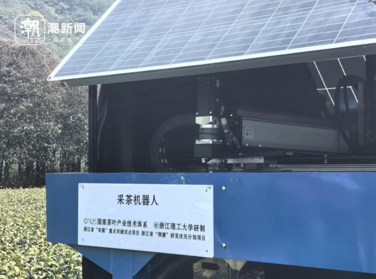 关于杭州茶园龙井芽叶，被机器人采下的消息