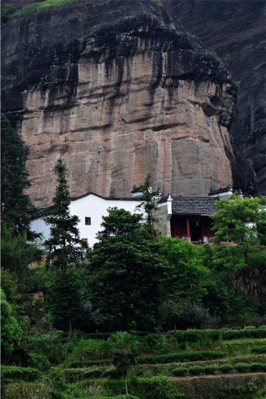 关于聚焦！“三茶”统筹发展座谈交流会即将在福建武夷山举办的相关信息(2)