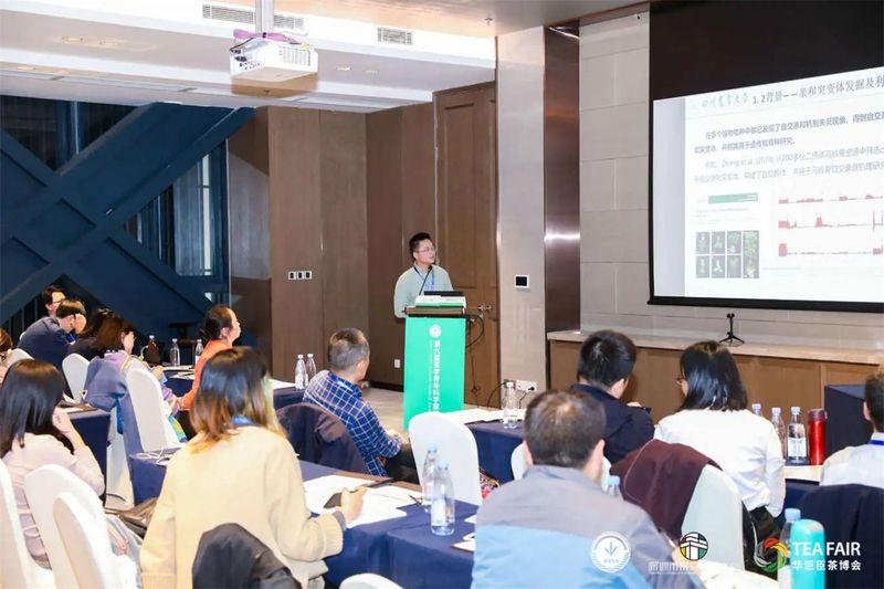 关于聚焦！“三茶”统筹发展座谈交流会即将在福建武夷山举办的相关信息(7)