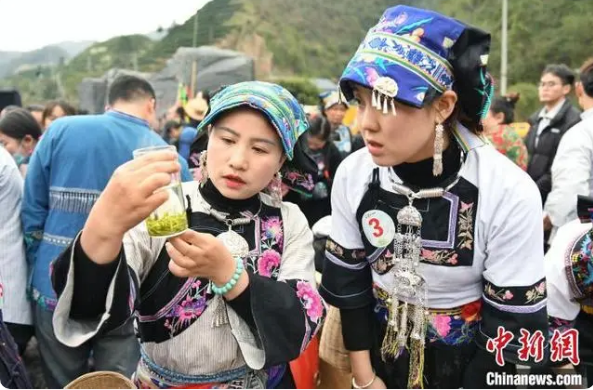 关于非遗村茶大赛 湖南湘西14支制茶队指尖较量“真功夫”的最新消息(4)