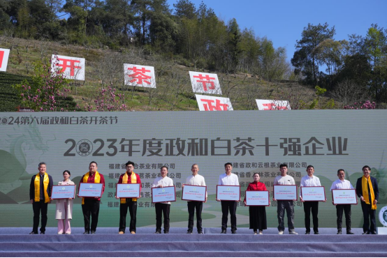 有关于政通人和 茶香中国   第六届政和白茶开茶节成功举办的新闻(9)