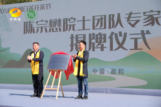 有关于政通人和 茶香中国   第六届政和白茶开茶节成功举办的新闻(8)