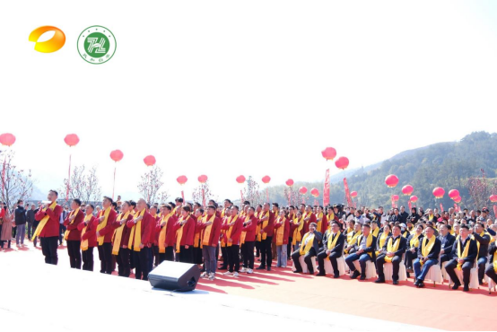 有关于政通人和 茶香中国   第六届政和白茶开茶节成功举办的新闻(2)