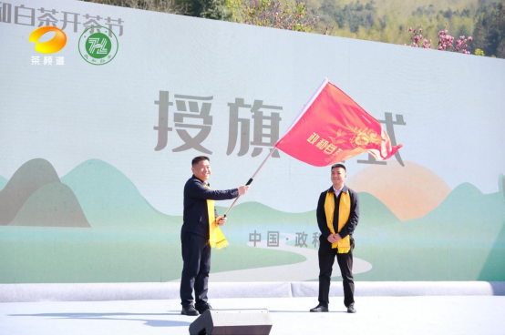 有关于政通人和 茶香中国   第六届政和白茶开茶节成功举办的新闻(7)