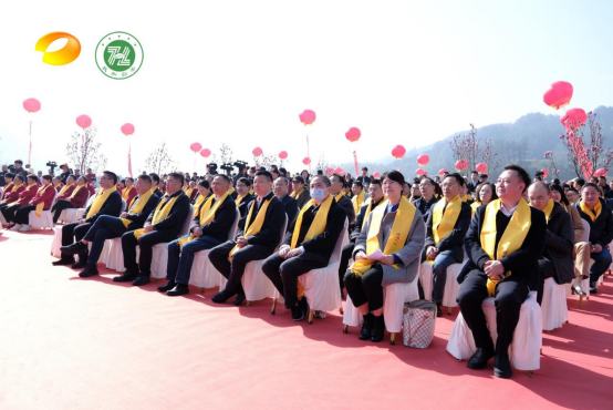 有关于政通人和 茶香中国 第六届政和白茶开茶节成功举办的新闻(1)