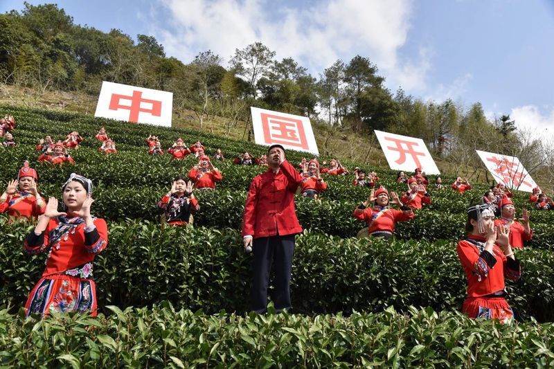 有关于政通人和 茶香中国   第六届政和白茶开茶节成功举办的新闻(3)