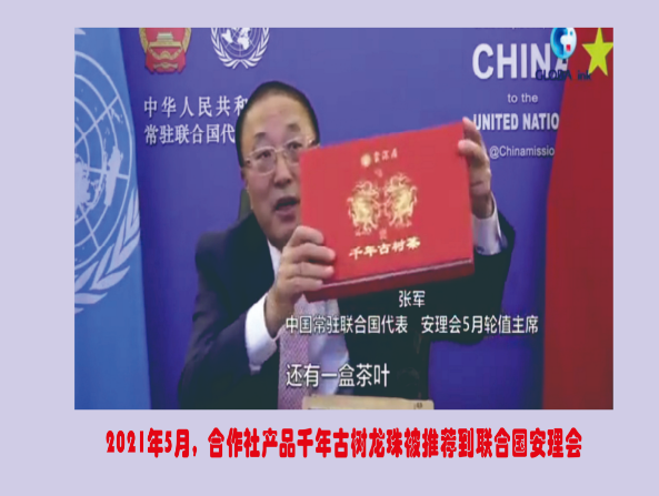 关于云南省民族茶文化研究会发布—— 云茶价格指数暨云南省2024年1024个村寨春茶预报价的新闻(20)