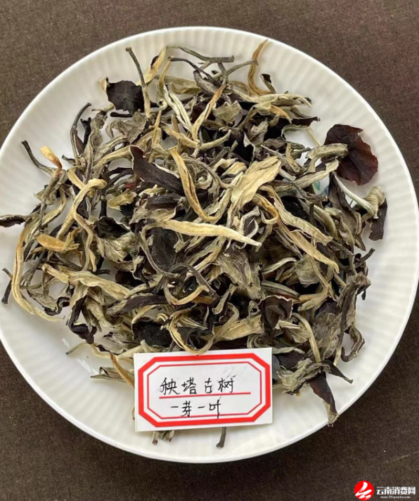 关于云南省民族茶文化研究会发布—— 云茶价格指数暨云南省2024年1024个村寨春茶预报价的新闻(14)