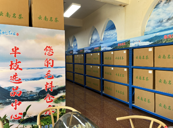 关于云南省民族茶文化研究会发布—— 云茶价格指数暨云南省2024年1024个村寨春茶预报价的新闻(9)