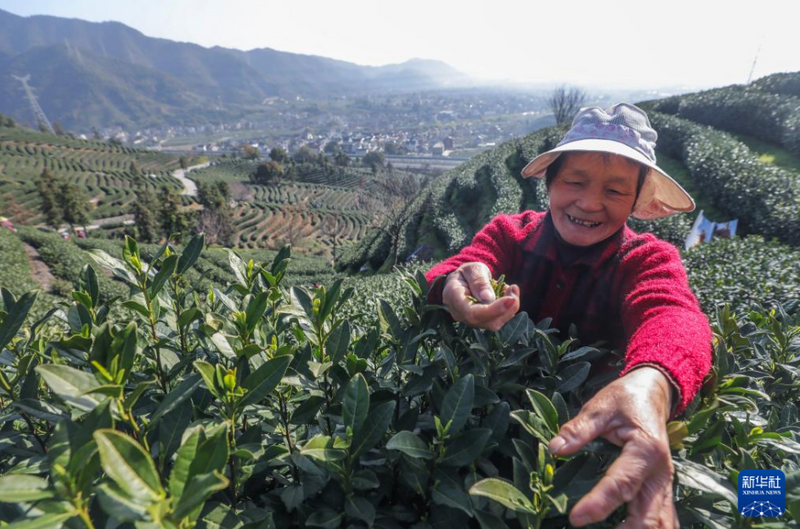 有关于浙江杭州：茶乡“喊山祈茶” 庆祝春茶开摘的相关信息(2)