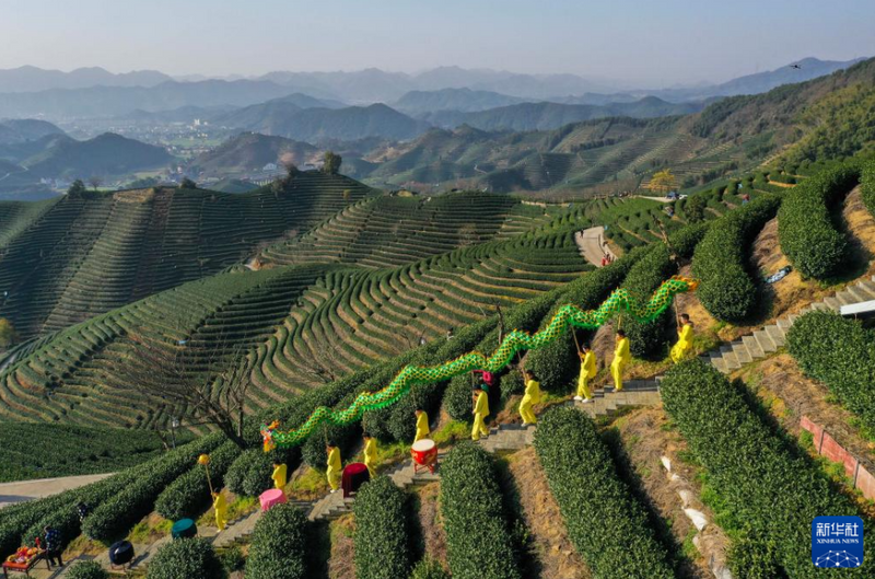 有关于浙江杭州：茶乡“喊山祈茶” 庆祝春茶开摘的相关信息(5)