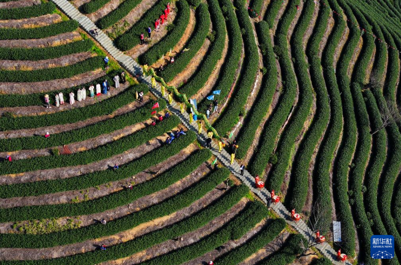 有关于浙江杭州：茶乡“喊山祈茶” 庆祝春茶开摘的相关信息(3)