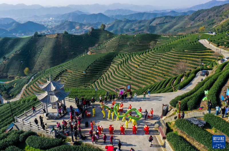 有关于浙江杭州：茶乡“喊山祈茶” 庆祝春茶开摘的相关信息(1)