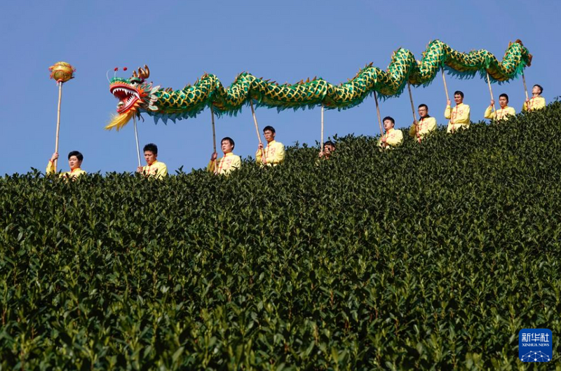 有关于浙江杭州：茶乡“喊山祈茶” 庆祝春茶开摘的相关信息(4)