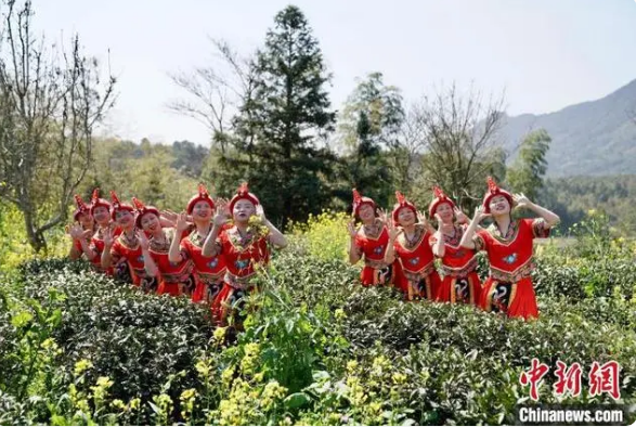 有关于闽北祭茶喊山“喊”醒春茶的资讯