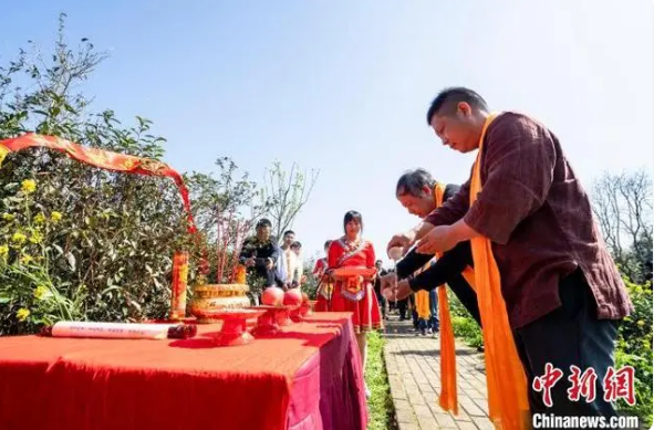 有关于闽北祭茶喊山“喊”醒春茶的资讯(1)