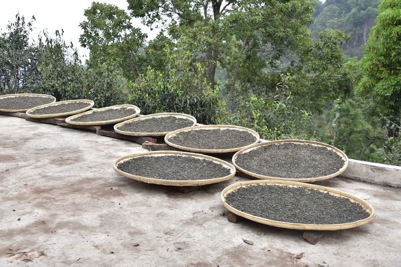 有关于2024年贺开茶区春茶价格多少钱的资讯(2)