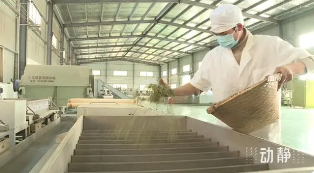 关于铜仁：春茶抢“鲜”开采 价格上浮茶企加工忙的新闻(7)