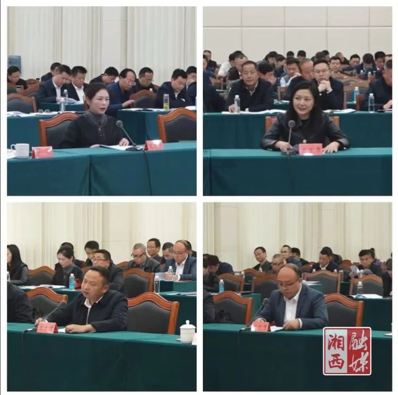 有关于湘西州推进茶产业高质量发展座谈会召开的内容(3)