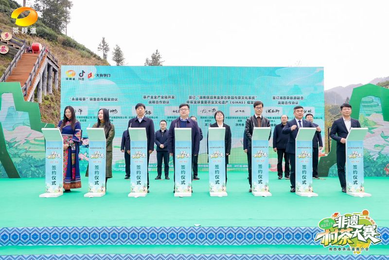 关于“村茶大赛”： 让茶农唱主角！的消息(9)