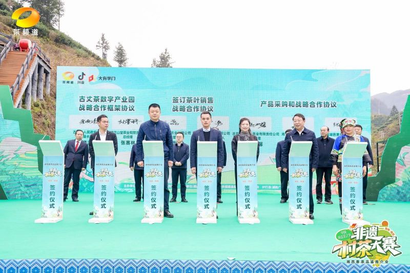 关于“村茶大赛”： 让茶农唱主角！的消息(8)